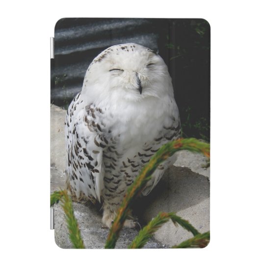 Snowyのかわいいフクロウ Ipad Miniカバー Zazzle Co Jp