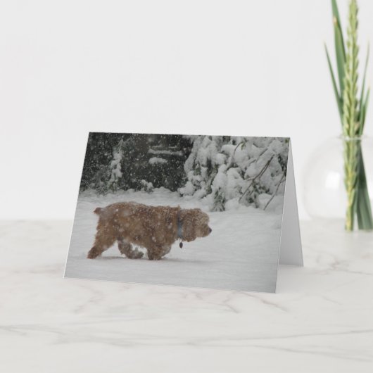 Snowyのコッカースパニエル シーズンカード (正面)