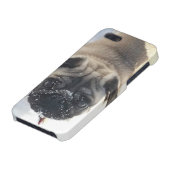 SnowyのパグのiPhone 5/5sの光沢のある場合 iPhoneケース (下部)