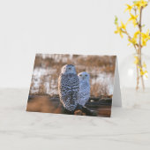 Snowyのフクロウのカップル カード (黄色い花)