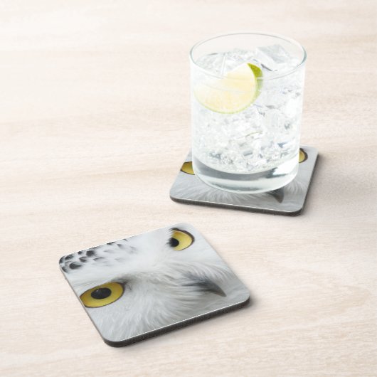 Snowyのフクロウの目 コースター (右側)