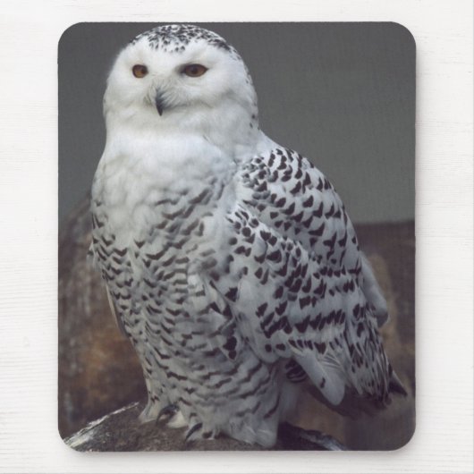 Snowyのフクロウのmousepad マウスパッド (正面)