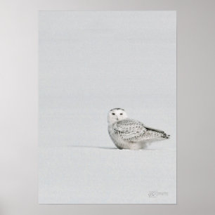 Snowyのフクロウポスター ポスター