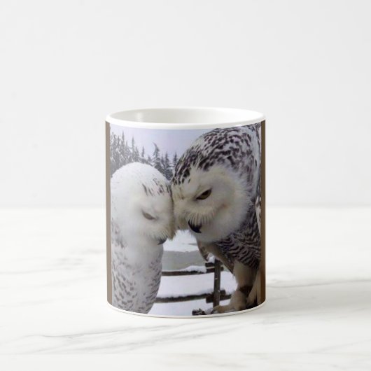 Snowyのフクロウ愛鳥のマグ コーヒーマグカップ (中央)