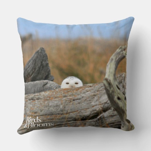 Snowyのフクロウ クッション (裏面)