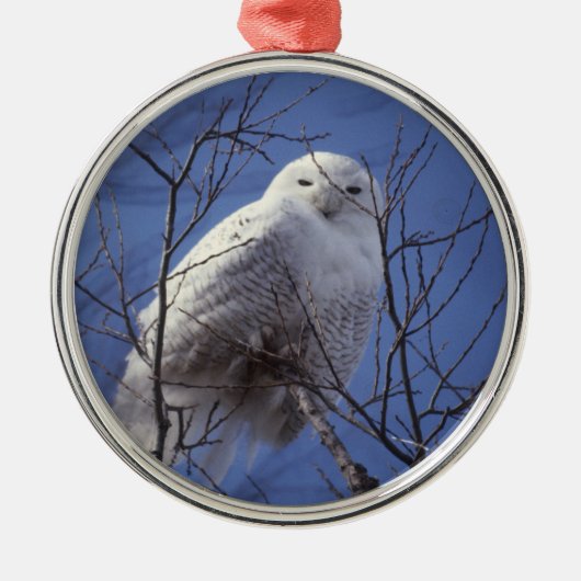 Snowyのフクロウ-サファイアの青空に対する白い鳥 メタルオーナメント (正面)