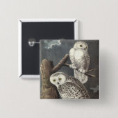 Snowyのフクロウ、ジョンAudubon 缶バッジ (正面&裏面)