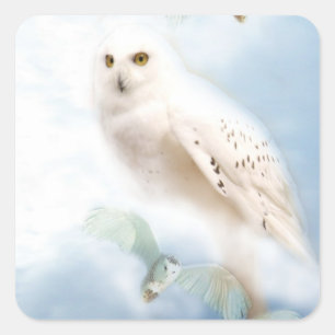 Snowyのフクロウ スクエアシール