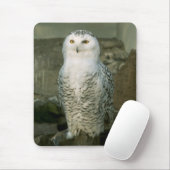 Snowyのフクロウ マウスパッド (マウス)