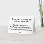 Snowyのフクロウ、境界湾、Mt.のパン屋、紀元前に シーズンカード (裏面)