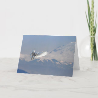 Snowyのフクロウ、境界湾、Mt.のパン屋、紀元前に シーズンカード