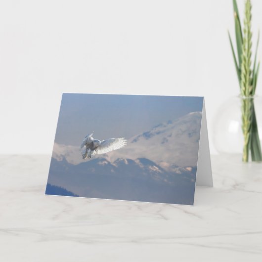 Snowyのフクロウ、境界湾、Mt.のパン屋、紀元前に シーズンカード (正面)