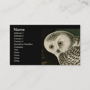 Snowyのフクロウ- Audubonの素晴らしいヴィンテージの鳥アメリカ 名刺