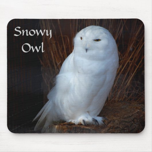 Snowyのフクロウ- mousepad マウスパッド (正面)