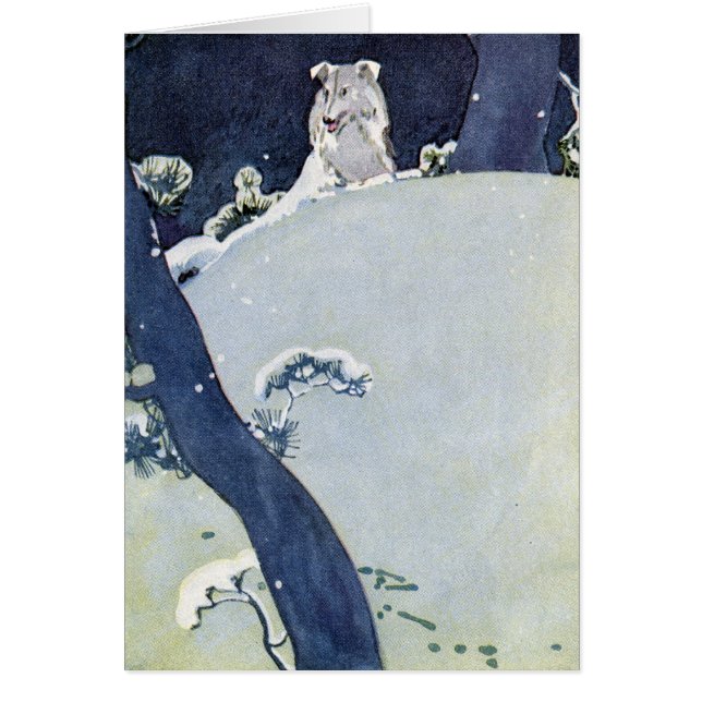 Snowyのマツの下の犬 (正面)