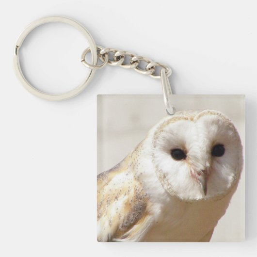 SnowyのメンフクロウのアクリルKeychain キーホルダー (正面)