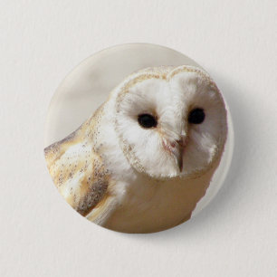 SnowyのメンフクロウPin 缶バッジ