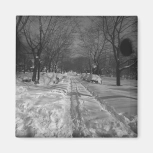 Snowyの住宅の通り マグネット