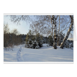 Snowyの冬の日