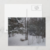 Snowyの冬の日 ポストカード (正面/裏面)