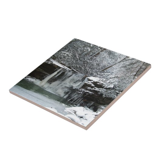 Snowyの冬の滝 タイル (側面)