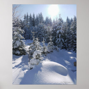 Snowyの冷たい冬の景色2 ポスター