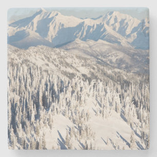 Snowyの山および木の景色の眺め ストーンコースター