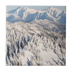 Snowyの山および木の景色の眺め タイル