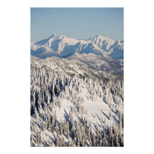Snowyの山および木の景色の眺め ポスター