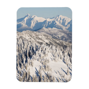 Snowyの山および木の景色の眺め マグネット