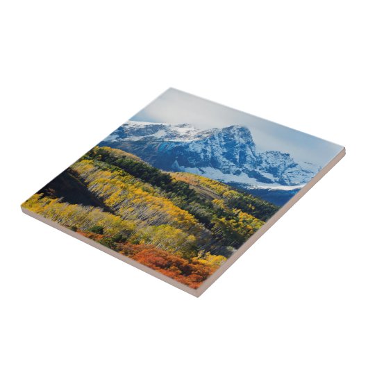 Snowyの山及び木 タイル (側面)