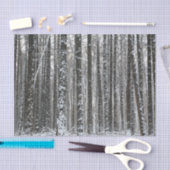 Snowyの木の幹 薄葉紙 (クラフト)