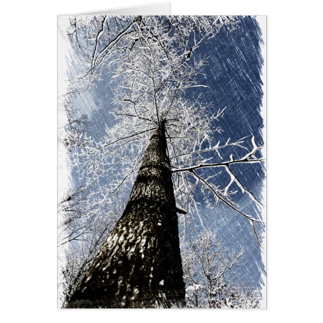 Snowyの木 (正面)