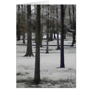 Snowyの木