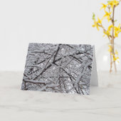 Snowyの枝 カード (黄色い花)