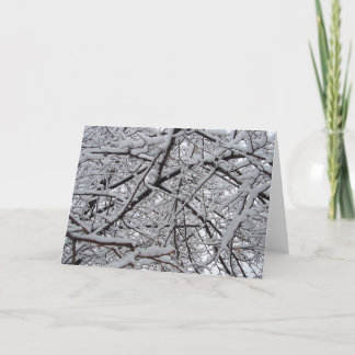 Snowyの枝 カード