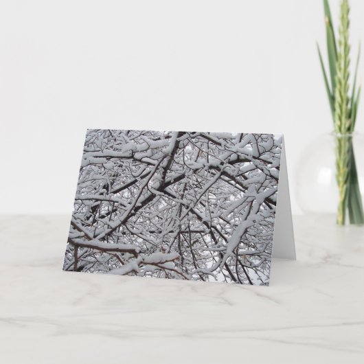 Snowyの枝 カード (正面)