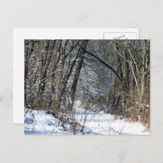 Snowyの森の郵便はがき ポストカード (正面/裏面)