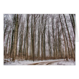 Snowyの森への田舎道