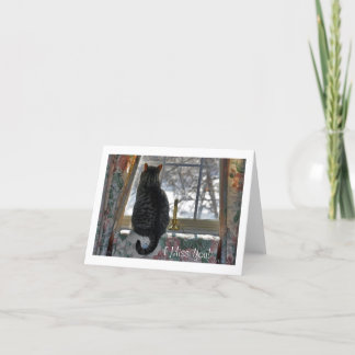 Snowyの窓の虎猫猫 カード