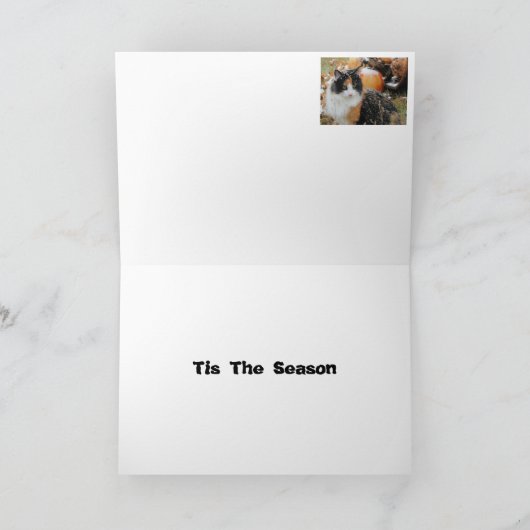 Snowyの茶色のぶち猫はあなたの文字を加えます シーズンカード (内部)