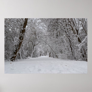 Snowyの道 ポスター