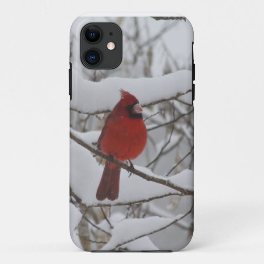 Snowyの鼻の基本的なIphone 5の穹窖 Case-Mate iPhoneケース (裏面)