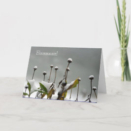 Snowyはクリスマスカードを止めます シーズンカード