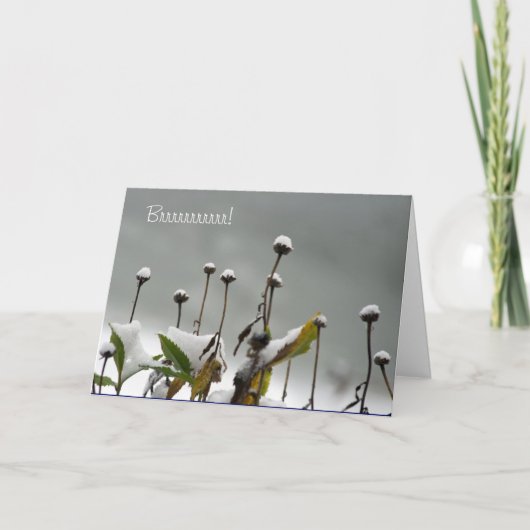 Snowyはクリスマスカードを止めます シーズンカード (正面)