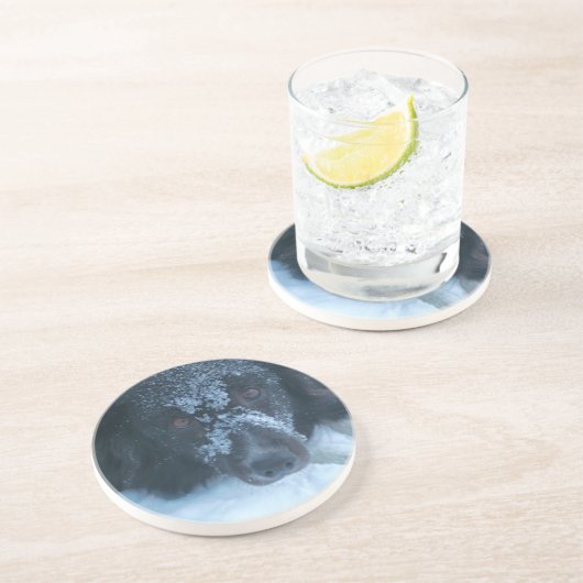 Snowyはボーダーコリー犬の飲み物のコースターに直面しました コースター (側面)