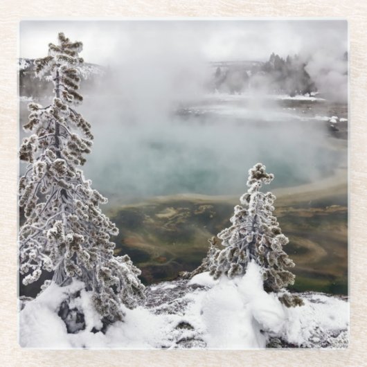 Snowyイエローストーン ガラスコースター (正面)