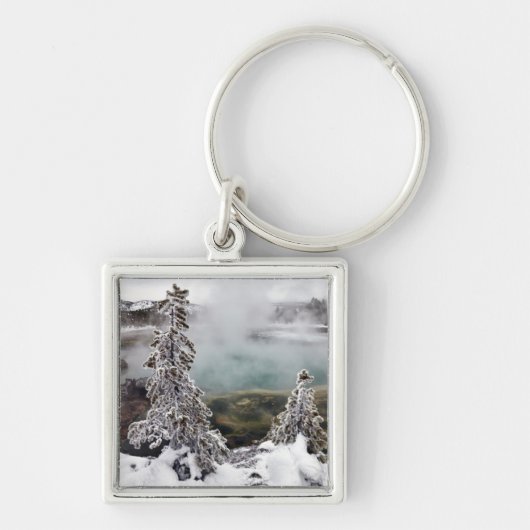 Snowyイエローストーン キーホルダー (正面)