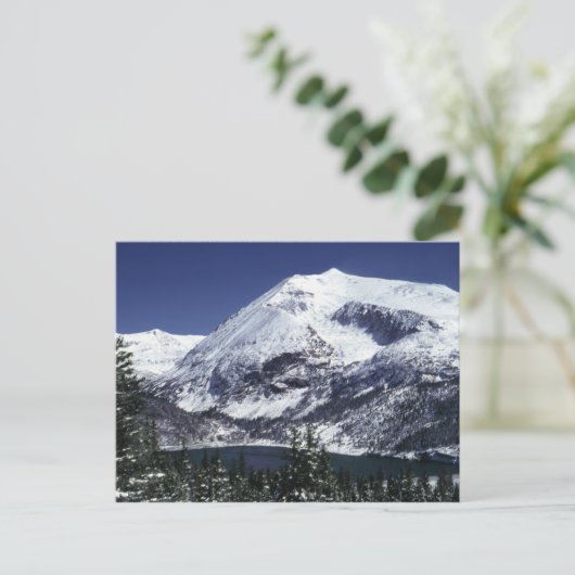 Snowyコロラド州山の郵便はがき ポストカード (スタンド正面)