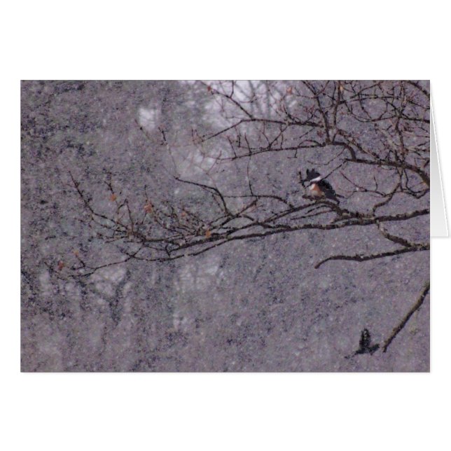 Snowy場面 (正面横)